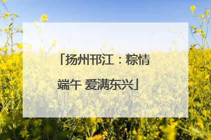 扬州邗江：粽情端午 爱满东兴