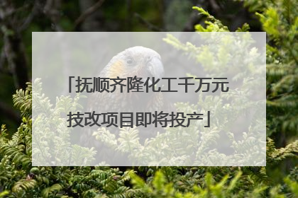 抚顺齐隆化工千万元技改项目即将投产