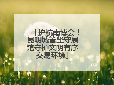 护航南博会！昆明城管坚守展馆守护文明有序交易环境