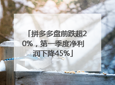 拼多多盘前跌超20%，第一季度净利润下降45%