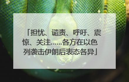 担忧、谴责、呼吁、震惊、关注……各方在以色列袭击伊朗后表态各异