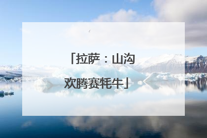 拉萨：山沟欢腾赛牦牛