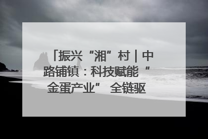 振兴“湘”村｜中路铺镇：科技赋能“金蛋产业” 全链驱动乡村振兴