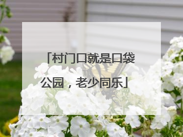 村门口就是口袋公园，老少同乐