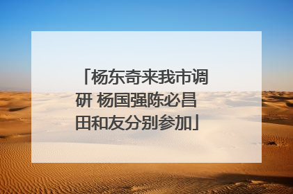 杨东奇来我市调研 杨国强陈必昌田和友分别参加