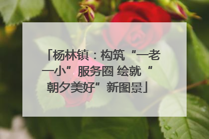杨林镇：构筑“一老一小”服务圈 绘就“朝夕美好”新图景