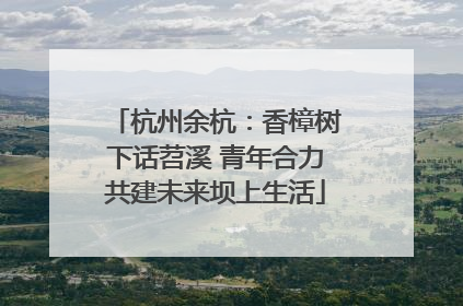 杭州余杭：香樟树下话苕溪 青年合力共建未来坝上生活