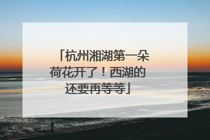 杭州湘湖第一朵荷花开了！西湖的还要再等等