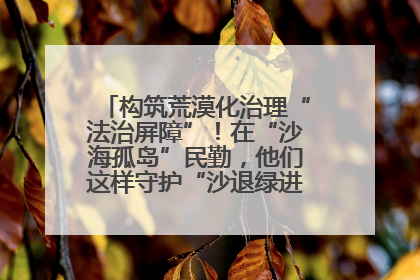 构筑荒漠化治理“法治屏障”！在“沙海孤岛”民勤，他们这样守护“沙退绿进”的生态奇迹