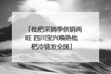 枇杷采摘季供销两旺 四川宝兴晚熟枇杷冷链发全国
