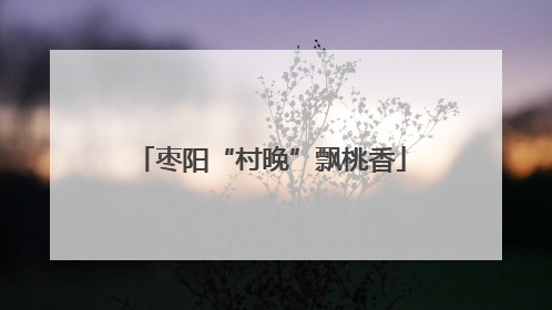 枣阳“村晚”飘桃香