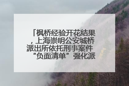 枫桥经验开花结果，上海崇明公安城桥派出所依托刑事案件“负面清单”强化派出所“主防”