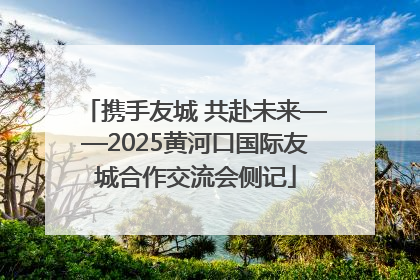 携手友城 共赴未来——2025黄河口国际友城合作交流会侧记