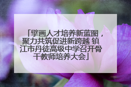 擘画人才培养新蓝图，聚力共筑促进新跨越 镇江市丹徒高级中学召开骨干教师培养大会