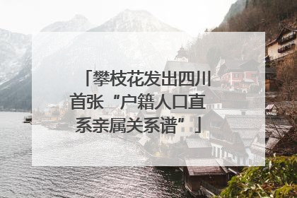 攀枝花发出四川首张“户籍人口直系亲属关系谱”