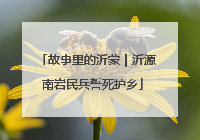 故事里的沂蒙｜沂源南岩民兵誓死护乡