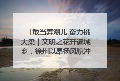 敢当弄潮儿 奋力挑大梁｜文明之花开遍城乡，徐州以昂扬风貌冲刺“万亿之城”