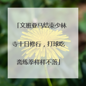 文班亚马结束少林寺十日修行，打球吃斋练拳样样不落