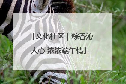 文化社区｜粽香沁人心 浓浓端午情