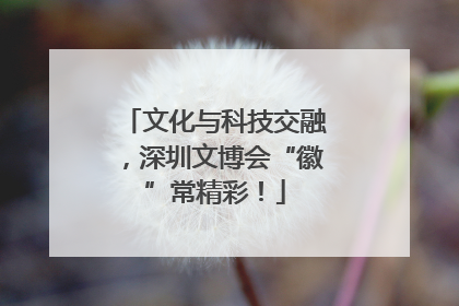 文化与科技交融，深圳文博会“徽”常精彩！