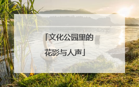 文化公园里的花影与人声