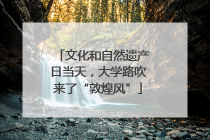文化和自然遗产日当天，大学路吹来了“敦煌风”