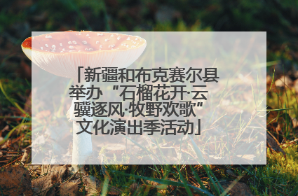 新疆和布克赛尔县举办“石榴花开·云骥逐风·牧野欢歌”文化演出季活动