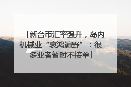 新台币汇率强升，岛内机械业“哀鸿遍野”：很多业者暂时不接单
