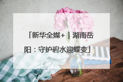 新华全媒+｜湖南岳阳：守护碧水迎蝶变