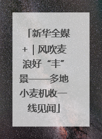 新华全媒+｜风吹麦浪好“丰”景——多地小麦机收一线见闻