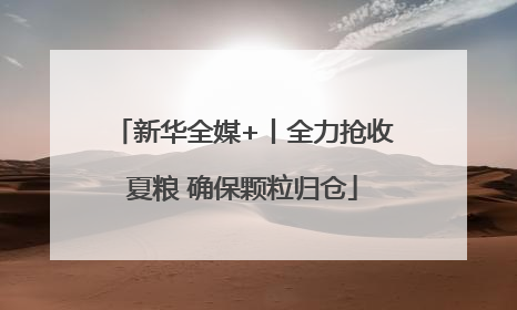 新华全媒+丨全力抢收夏粮 确保颗粒归仓