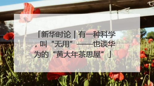 新华时论｜有一种科学，叫“无用”——也谈华为的“黄大年茶思屋”