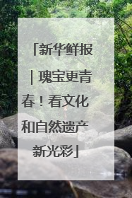 新华鲜报｜瑰宝更青春！看文化和自然遗产新光彩