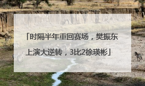 时隔半年重回赛场，樊振东上演大逆转，3比2徐瑛彬