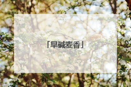 旱碱麦香