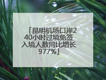 昆明机场口岸240小时过境免签入境人数同比增长977%