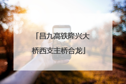 昌九高铁隆兴大桥西支主桥合龙