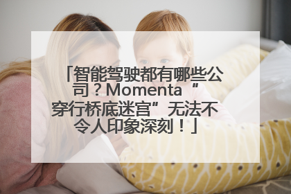 智能驾驶都有哪些公司？Momenta“穿行桥底迷宫”无法不令人印象深刻！