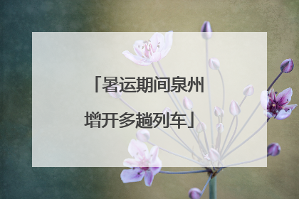 暑运期间泉州增开多趟列车