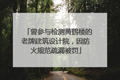 曾参与检测黄鹤楼的老牌建筑设计院，因防火规范疏漏被罚