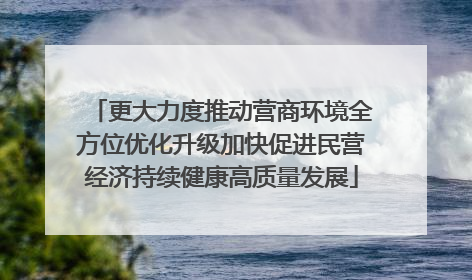 更大力度推动营商环境全方位优化升级加快促进民营经济持续健康高质量发展