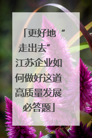 更好地“走出去” 江苏企业如何做好这道高质量发展必答题