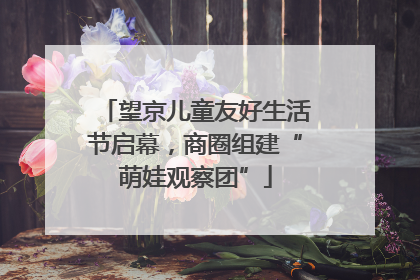 望京儿童友好生活节启幕，商圈组建“萌娃观察团”