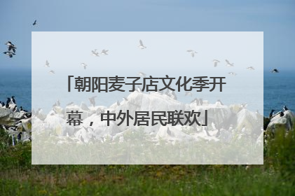 朝阳麦子店文化季开幕，中外居民联欢