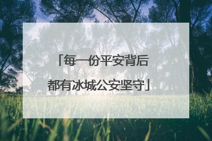 每一份平安背后 都有冰城公安坚守