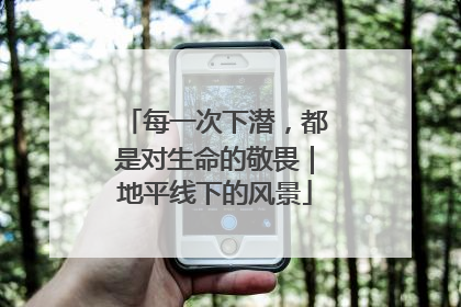 每一次下潜，都是对生命的敬畏｜地平线下的风景