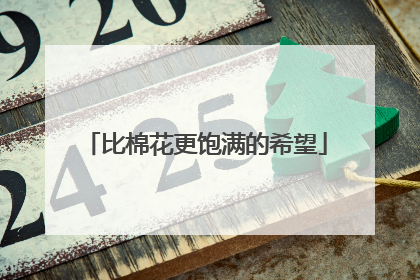 比棉花更饱满的希望