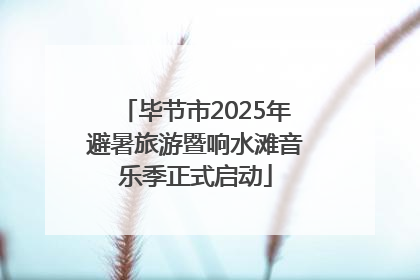 毕节市2025年避暑旅游暨响水滩音乐季正式启动