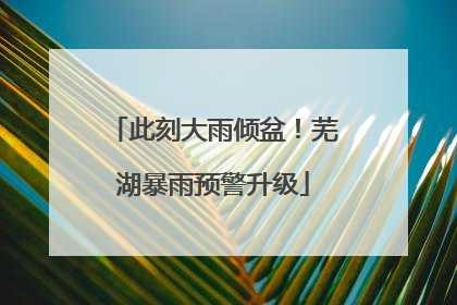 此刻大雨倾盆！芜湖暴雨预警升级