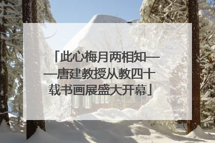 此心梅月两相知——唐建教授从教四十载书画展盛大开幕